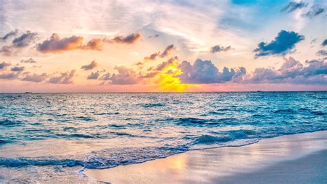 tokyo sunset time|Sunrise and sunset times in Tokyo Prefecture, Japan.